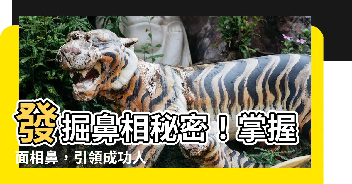 【面相鼻】發掘鼻相秘密！掌握面相鼻，引領成功人生