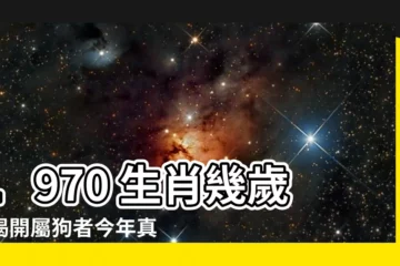 【1970生肖幾歲】1970 生肖幾歲？揭開屬狗者今年真實年齡！