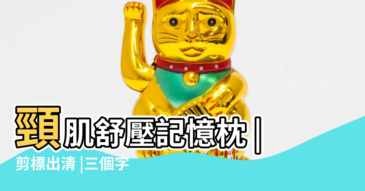 【三個字枕頭】頸肌舒壓記憶枕 |剪標出清 |三個字物理治療師合作開發枕頭 |