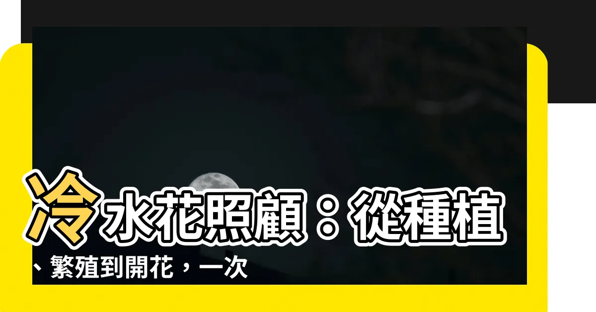 【冷水花照顧】冷水花照顧：從種植、繁殖到開花，一次搞定！
