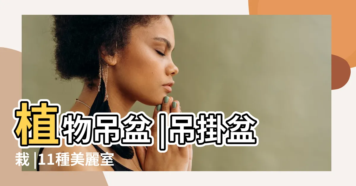 【吊掛植栽】植物吊盆 |吊掛盆栽 |11種美麗室內懸掛植物新手也能輕鬆養活 |