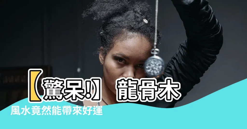 【龍骨木風水】【驚呆!】 龍骨木風水竟然能帶來好運!