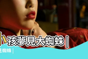 【夢見孩子身上好多蜘蛛好害怕】小孩夢見大蜘蛛 |夢見蜘蛛 |