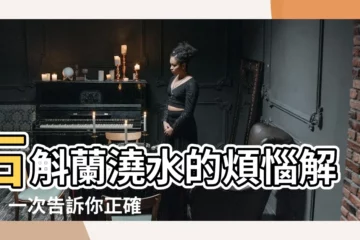 【石斛蘭多久澆一次水】石斛蘭澆水的煩惱解決！一次告訴你正確澆水頻率和方法