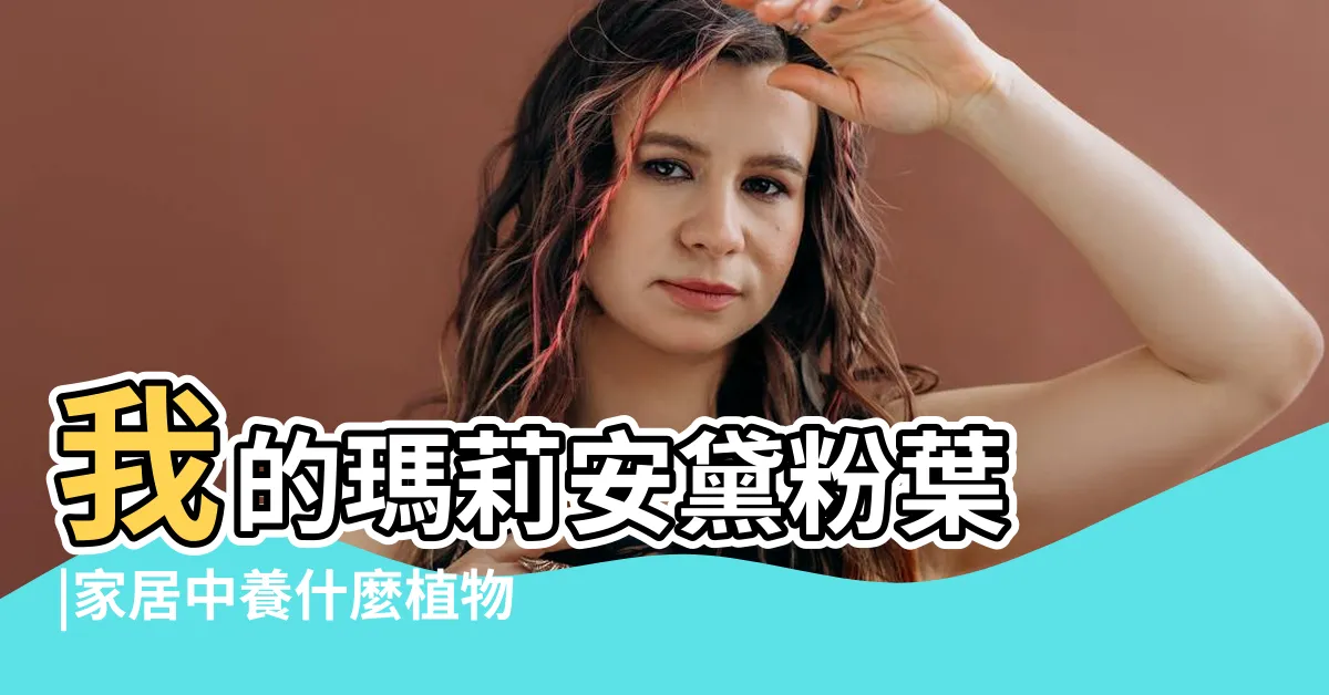 【瑪莉安黛粉葉風水】我的瑪莉安黛粉葉 |家居中養什麼植物最旺 |羿築馨園藝花坊 |