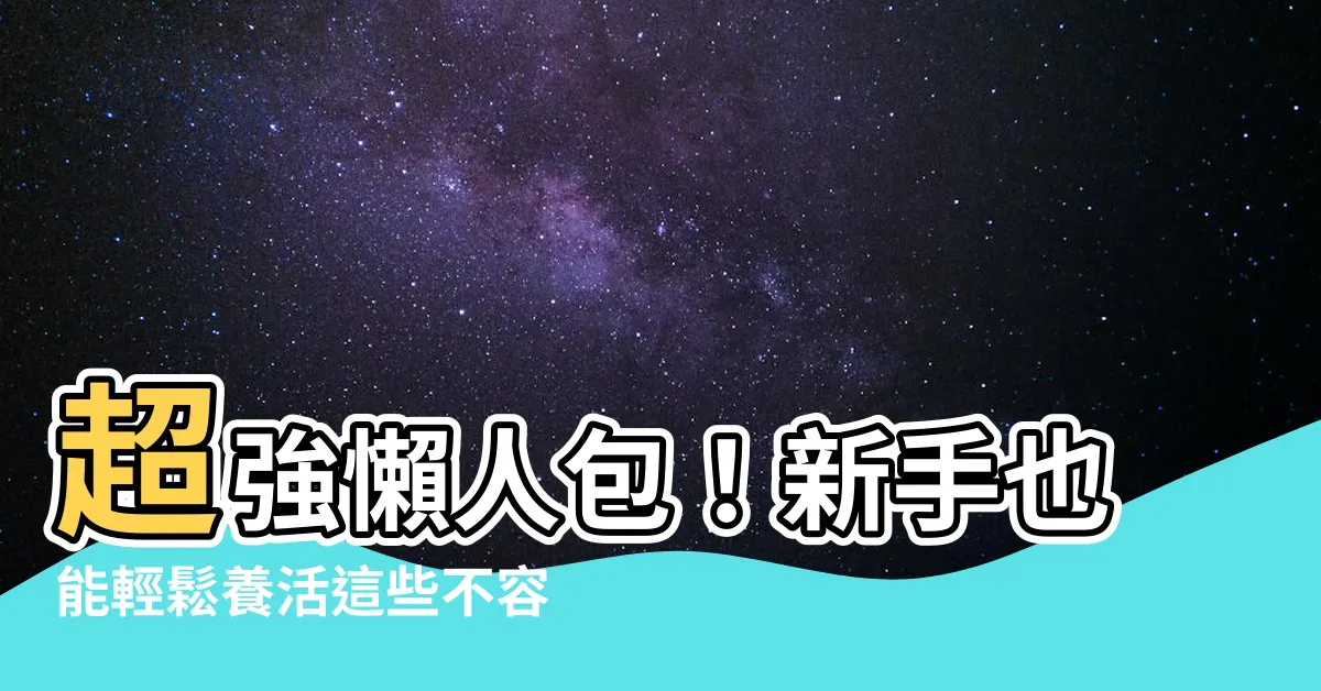 【不容易死的魚】超強懶人包！新手也能輕鬆養活這些不容易死掉的觀賞魚！