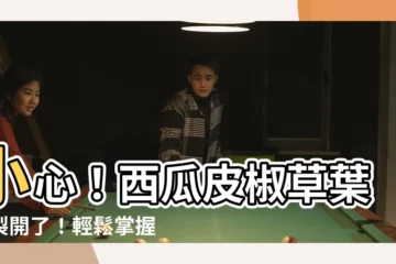 【西瓜皮椒草葉子裂開】小心！西瓜皮椒草葉子裂開了！輕鬆掌握5招，找回翠綠光彩