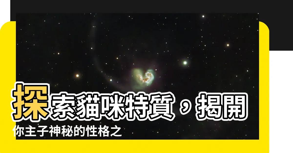 【貓咪特質】探索貓咪特質，揭開你主子神秘的性格之謎！