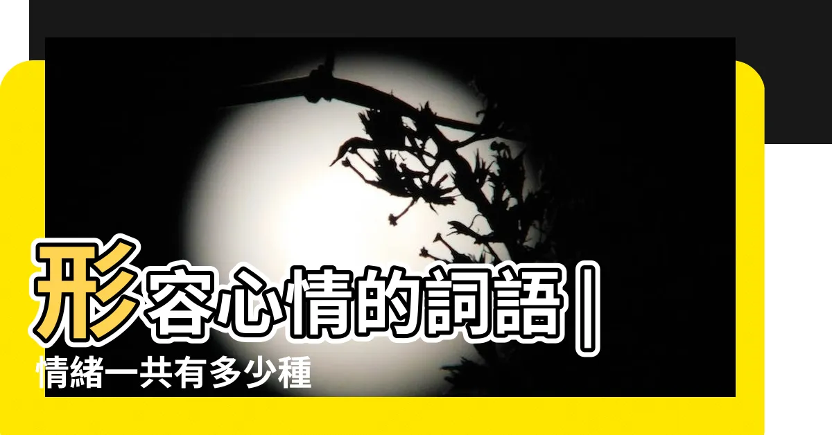 【心情有哪些】形容心情的詞語 |情緒一共有多少種 |能夠表達人心情的詞語有哪些 |