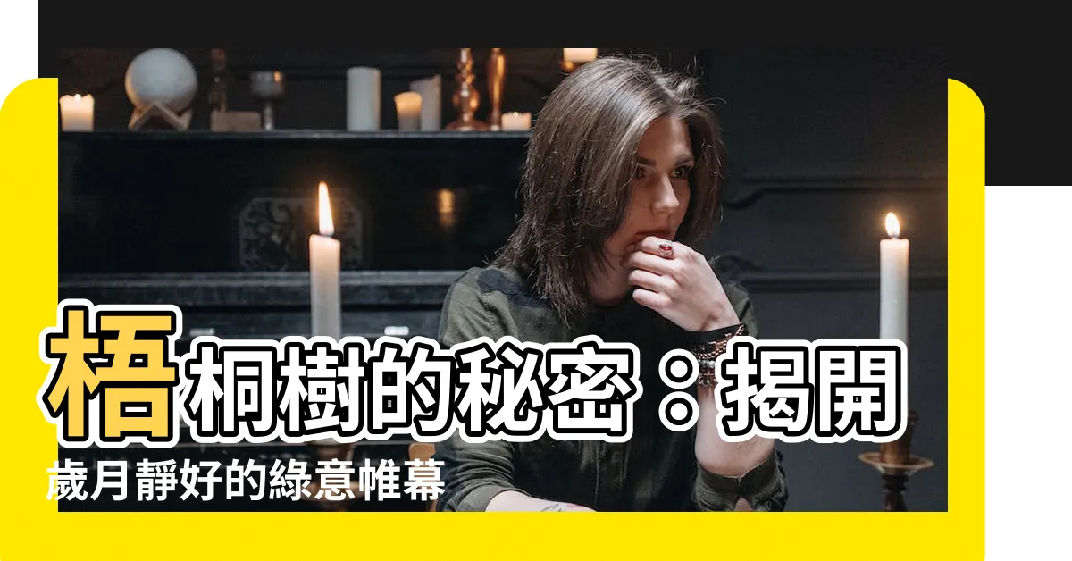 【梧桐樹】梧桐樹的秘密：揭開歲月靜好的綠意帷幕