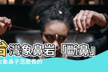 【象鼻】台灣象鼻巖「斷鼻」！大象鼻子怎麼長的？原來藏有驚人秘密