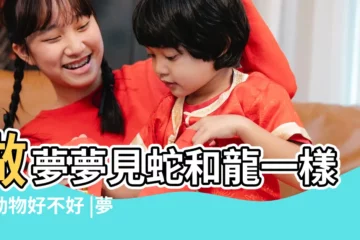 【夢到蛇好像龍】做夢夢見蛇和龍一樣的動物好不好 |夢見蛇和龍一樣的動物 |夢見蛇變成龍 |