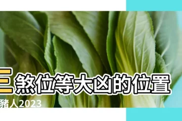 【2018年屬豬貼福方位】三煞位等大凶的位置 |屬豬人2023年你的桃花方位在哪裏西南方容易有正緣 |如大門在這些方位 |