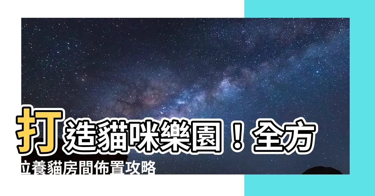 【養貓房間佈置】打造貓咪樂園！全方位養貓房間佈置攻略