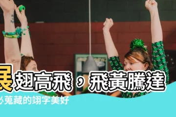 【翊名字】展翅高飛，飛黃騰達！必蒐藏的翊字美好寓意名字