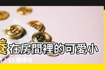 【小寵物】養在房間裡的可愛小寵物！15 種適合室內飼養的萌寵推薦