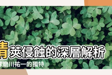 【精莢侵蝕】精莢侵蝕的深層解析：球磨川祐一的獨特詮釋