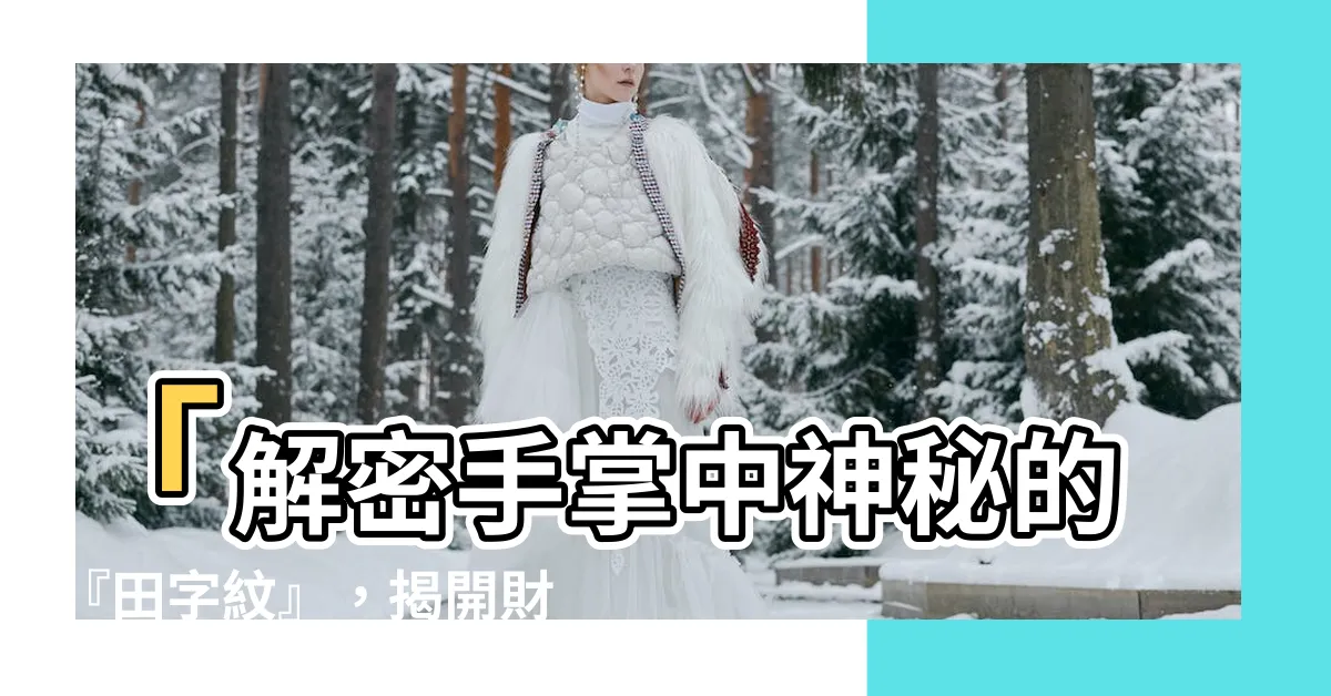 【田字紋掌心】「解密手掌中神秘的『田字紋』，揭開財富的大門！」