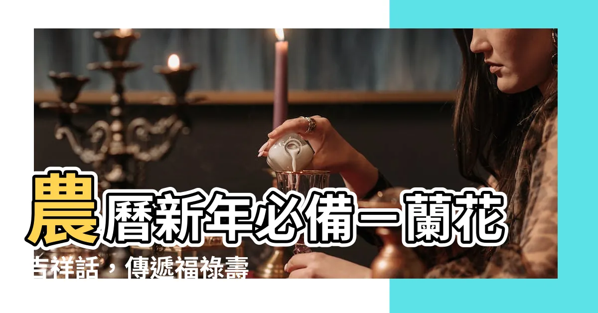【蘭花吉祥話】農曆新年必備－蘭花吉祥話，傳遞福祿壽喜的蝴蝶蘭