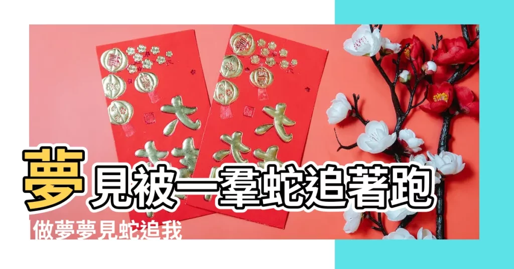 夢見被一羣蛇追著跑 |做夢夢見蛇追我好不好 |【做夢被好多蛇追】