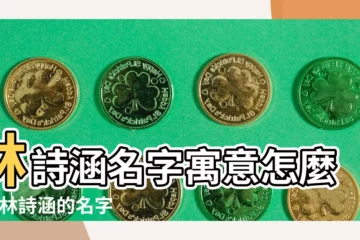 【林詩涵名字的含義】林詩涵名字寓意怎麼樣 |林詩涵的名字測試打分結果 |周易八字姓名測評 |