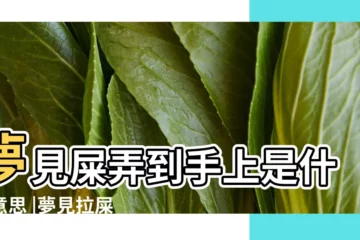 【做夢夢到自己拉屎還弄到手上都是】夢見屎弄到手上是什麼意思 |夢見拉屎弄到自己手上 |夢見自己拉屎沾到手上是什麼意思 |