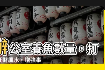 【辦公室養魚數量】辦公室養魚數量，打造旺財風水，增強事業運