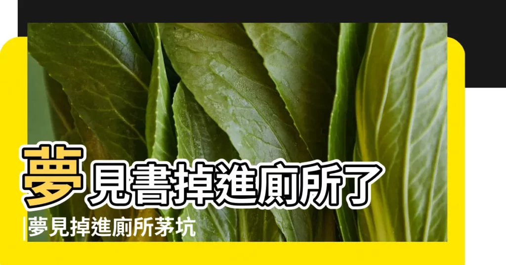 夢見書掉進廁所了 |夢見掉進廁所茅坑 |夢見自己掉進廁所裏 |【夢見書本掉進廁所了】