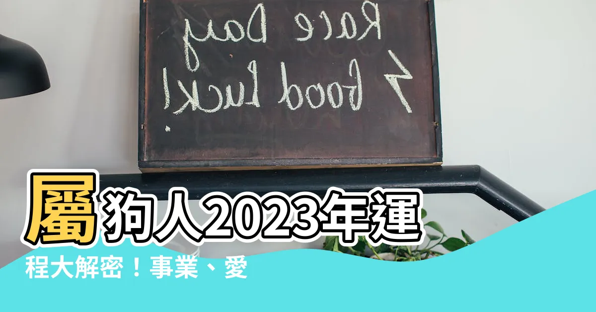 【2023 狗年運程】屬狗人2023年運程大解密！事業、愛情、財富一次掌握