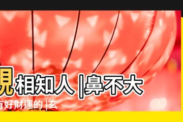 【鼻樑中間有彎影響仕途】觀相知人 |鼻不大也有好財運的 |玄途好景 |