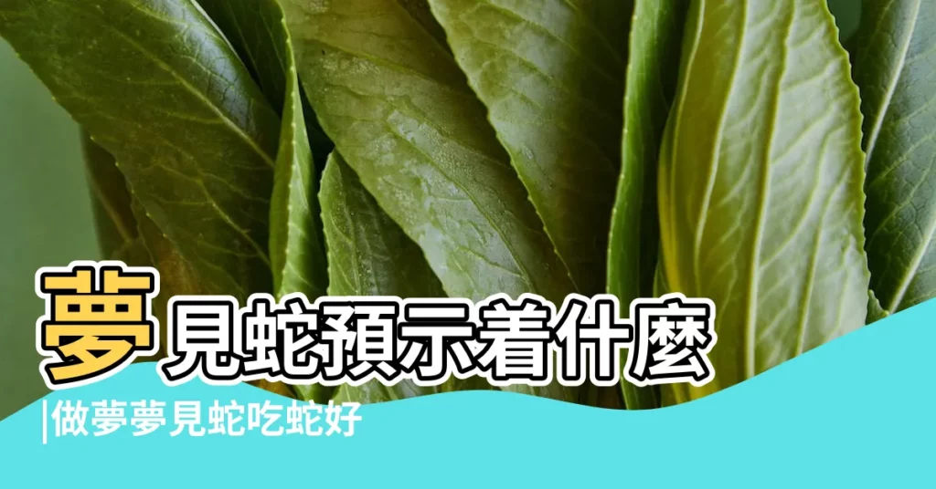 夢見蛇預示着什麼 |做夢夢見蛇吃蛇好不好 |是吉還是兇 |【夢到蛇吃了我的手機】