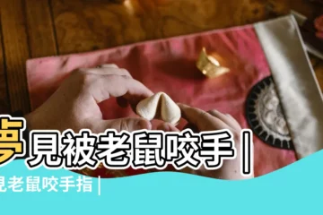 【夢見老鼠咬指頭】夢見被老鼠咬手 |夢見老鼠咬手指 |夢見老鼠咬手指頭 |