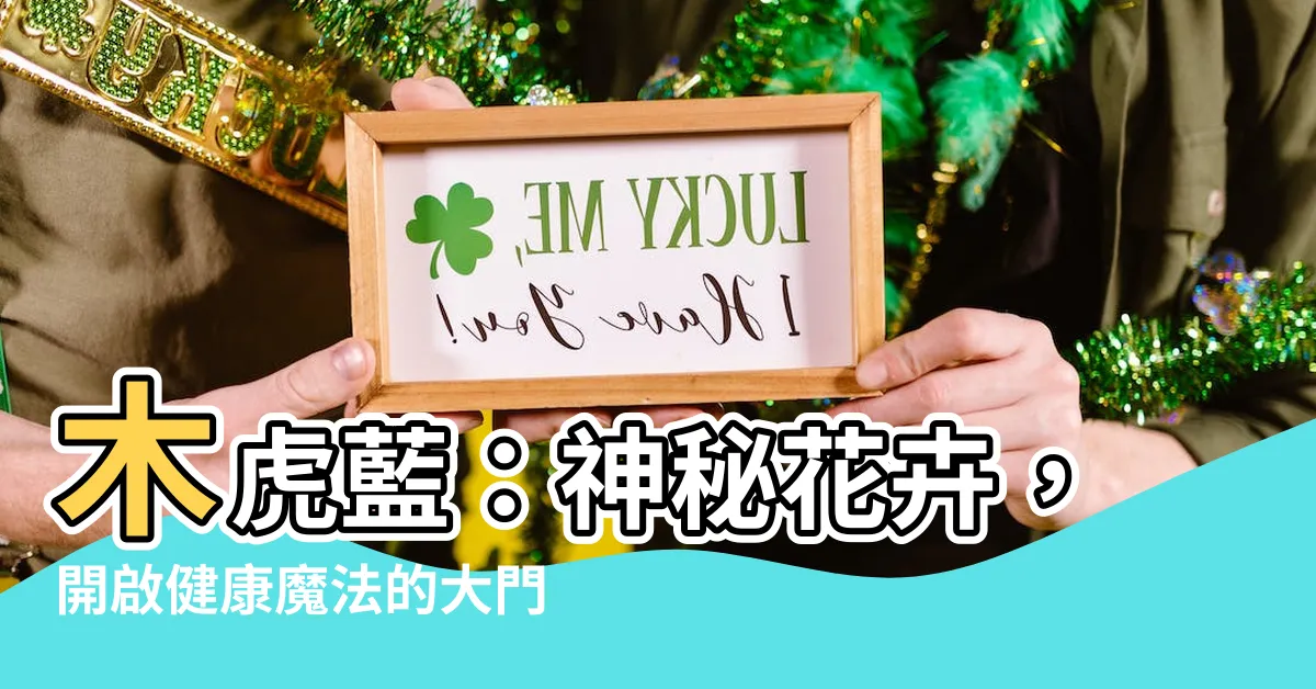 【木虎藍】木虎藍：神秘花卉，開啟健康魔法的大門！