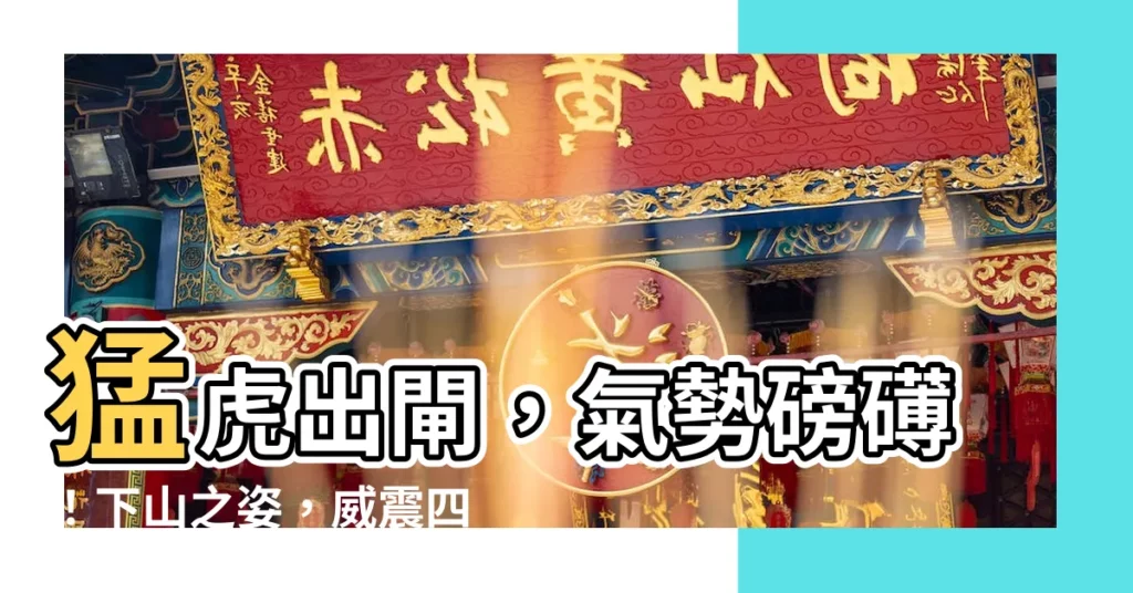 【猛虎下山】猛虎出閘，氣勢磅礡！下山之姿，威震四方！
