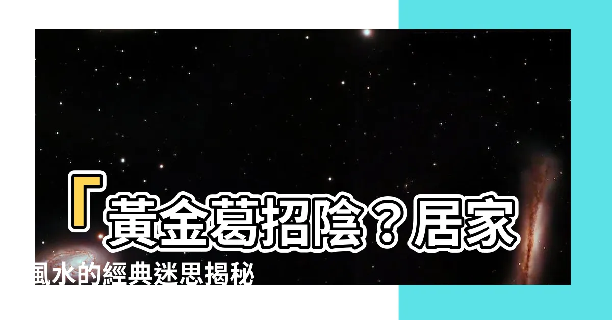 【黃金葛招陰】「黃金葛招陰？居家風水的經典迷思揭秘！」