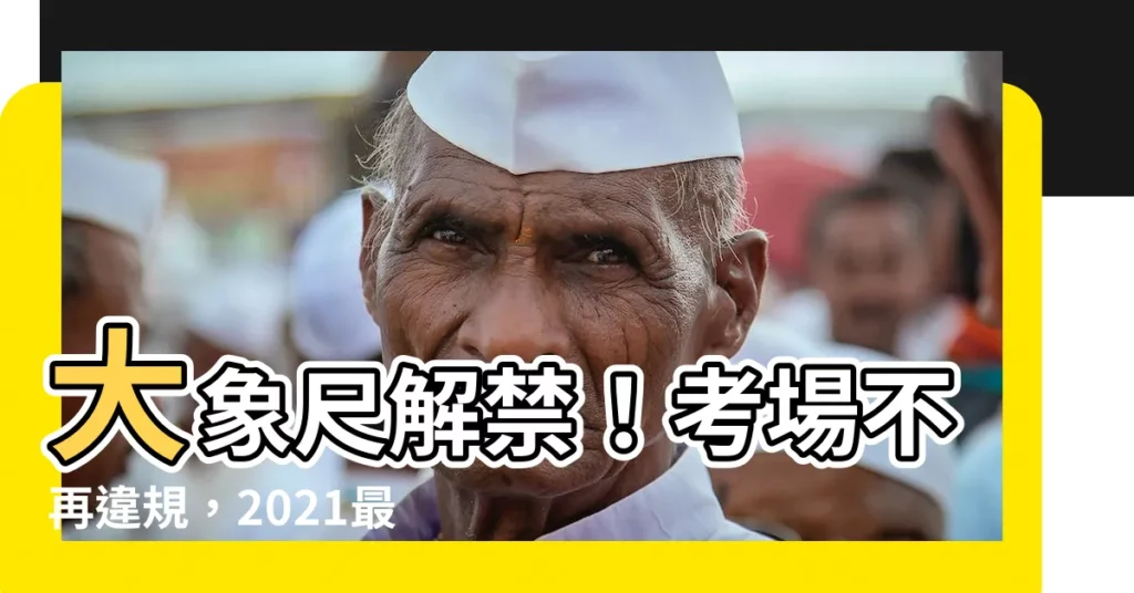 【大象尺】大象尺解禁！考場不再違規，2021最新大尺尺寸曝光