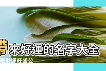 【代表好運的公司名字】帶來好運的名字大全 |代表財運旺盛公司名稱三個字 |300個吉祥公司名字大全 |