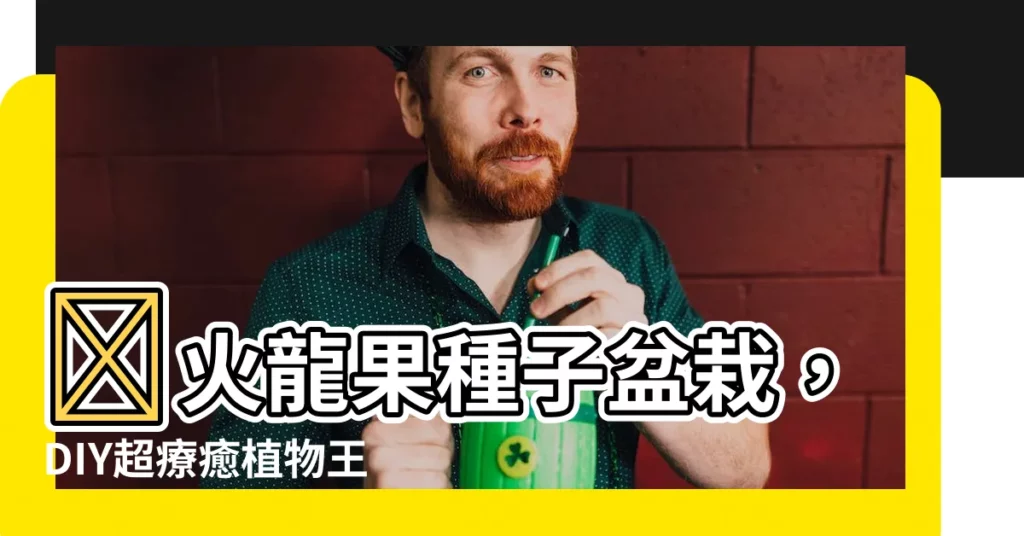 【火龍果種子盆栽】🔥火龍果種子盆栽，DIY超療癒植物王國！