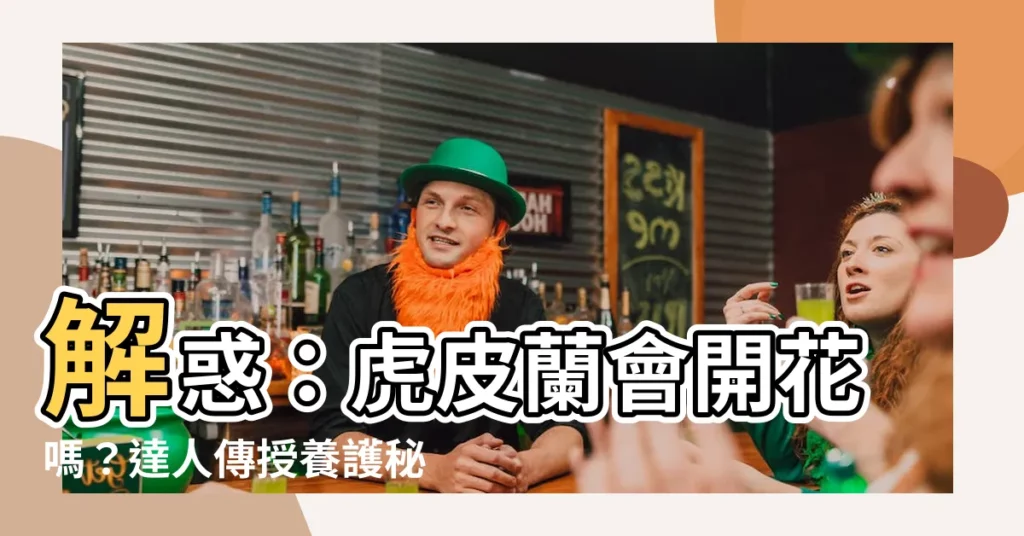 【虎皮蘭會開花嗎】解惑：虎皮蘭會開花嗎？達人傳授養護秘訣，助你見證花開奇蹟！