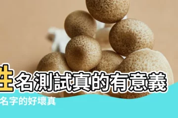 【姓名測試真的有意義嗎】姓名測試真的有意義嗎 |名字的好壞真的會影響 |網上姓名測試能不能相信 |