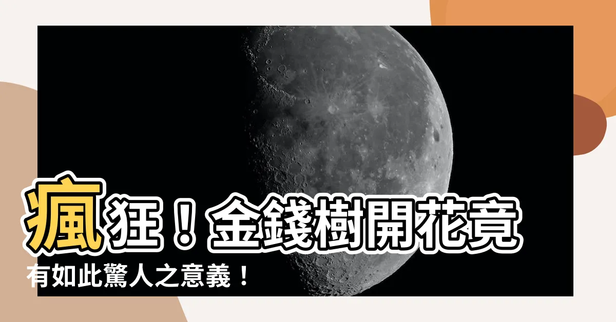 【金錢樹開花是什麼意思】瘋狂！金錢樹開花竟有如此驚人之意義！相信你猜不到！