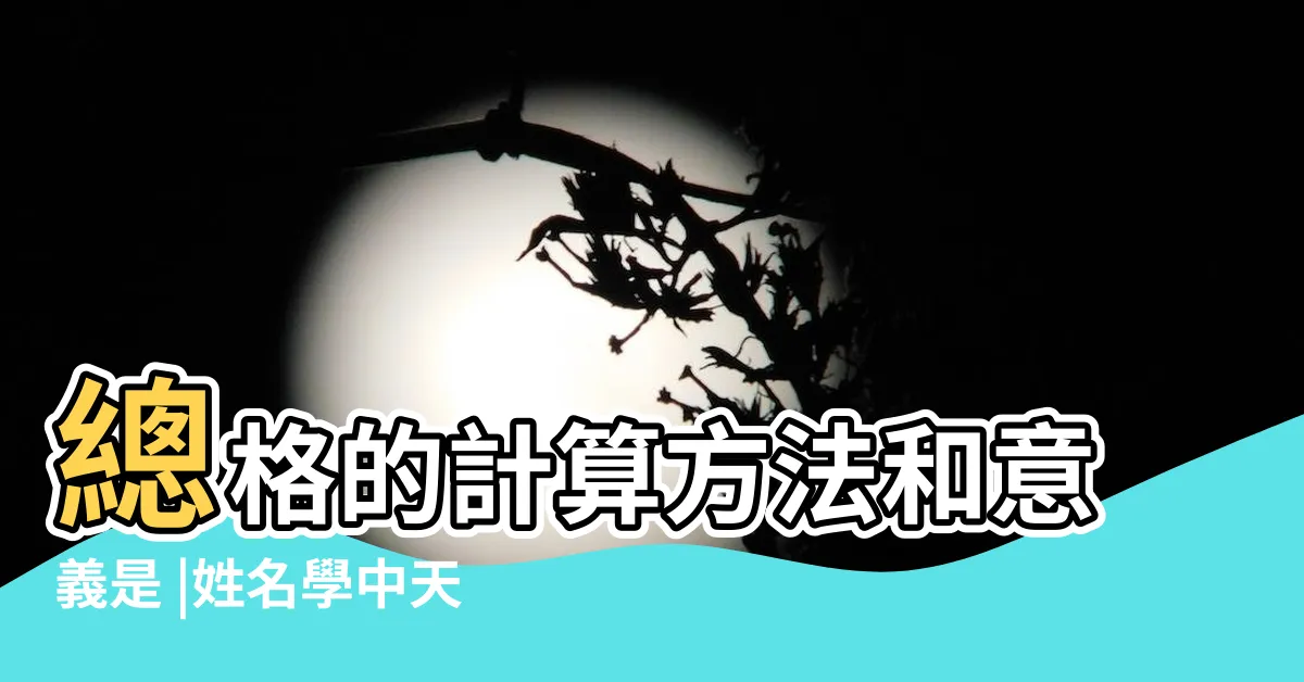 【外格19】總格的計算方法和意義是 |姓名學中天格 |人格19畫的人命運 |