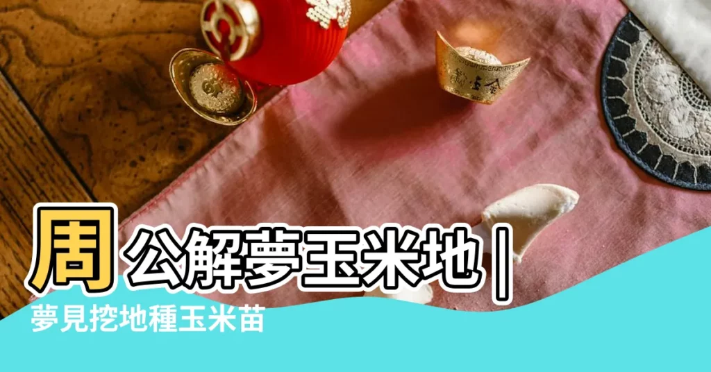 周公解夢玉米地 |夢見挖地種玉米苗 |夢見玉米桿 |【夢見躲在玉米地裏】