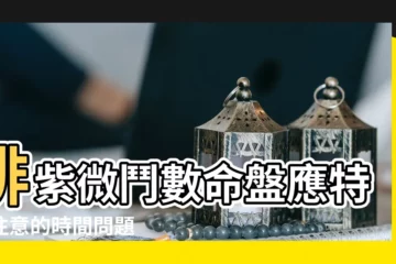 【紫微鬥數時間調整】排紫微鬥數命盤應特別注意的時間問題 |鬥數時辰的取用 |子由線上紫微鬥數排盤 |