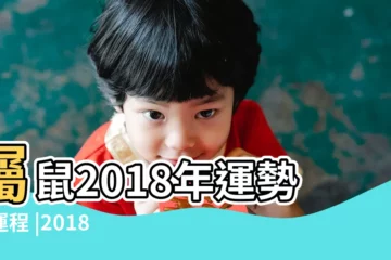【2018 老鼠 運氣】屬鼠2018年運勢及運程 |2018年12生肖運勢詳解 |2018年屬鼠人的全年運勢 |