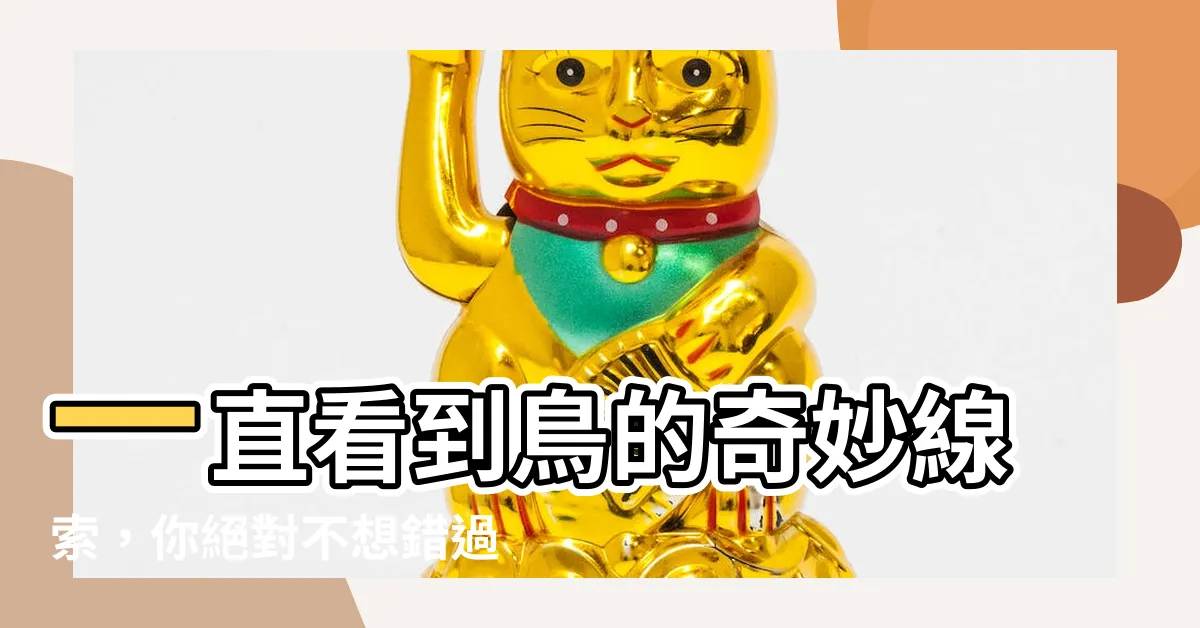 【一直看到鳥】一直看到鳥的奇妙線索，你絕對不想錯過！