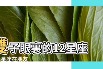 【12星座眼裏的雙子座】雙子眼裏的12星座 |12星座在朋友眼中是什麼樣子 |日誌2007 |