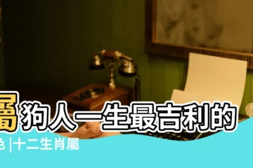 【屬狗的吉祥色是什麼意思是什麼】屬狗人一生最吉利的顏色 |十二生肖屬狗什麼顏色是吉祥色2023最吉利顏色 |一生旺屬狗的顏色 |