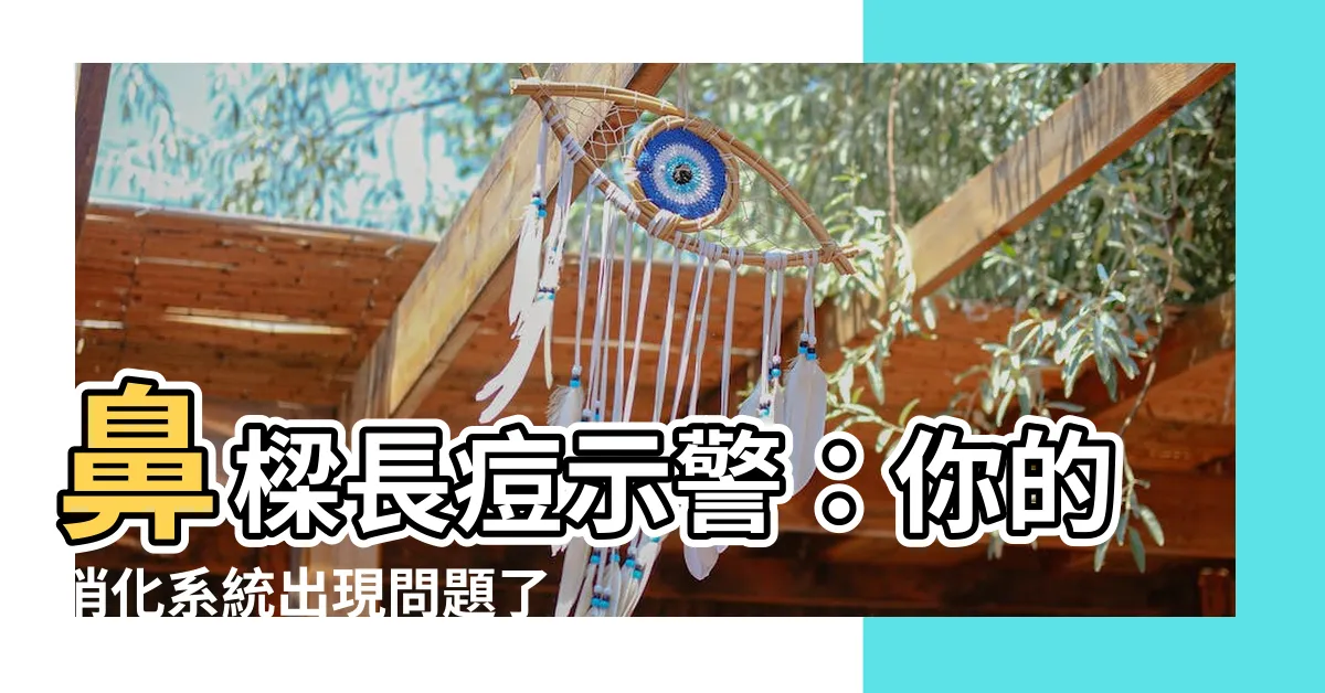 【鼻樑生瘡】鼻樑長痘示警：你的消化系統出現問題了！快來找出解救方法
