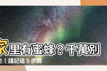 【家裏有蜜蜂】家裏有蜜蜂？千萬別趕走！謹記這５步驟，好運滾滾來！